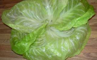 Принципы лечения ушибов кисти после падения или удара