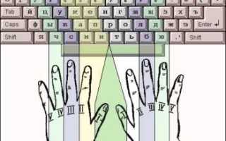 Метод слепой печати: зачем нужен и как научиться
