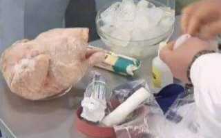 Если отрубить человеку руку можно ли ее прикрепить обратно?