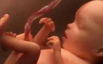 Таблица фетометрии плода