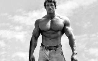 Идеальные пропорции тела мужчины