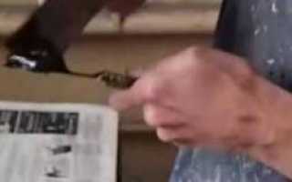 Причины раздражения между пальцами рук и лечение