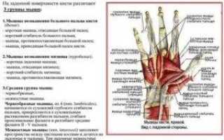 Почему не сгибаются большие пальцы на руках, методы диагностики, лечения, профилактики и возможные осложнения