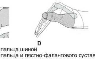 Как устроена и функционирует кисть руки